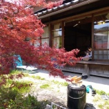 『畑の記録0423』の画像