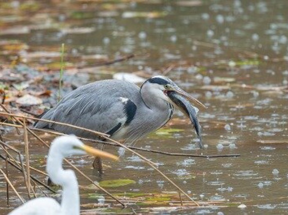 2025年12月14日の野鳥公園