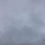 茶農家 竹尾のブログ