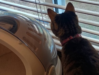 冷凍庫の霜取りビフォーアフター。と、オレンジビジュー鉱石つくりました。