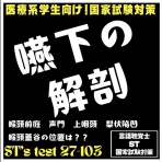 言語聴覚士 ST 国家試験対策ブログ(stkokushi)