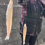 月夜のおっちゃん
