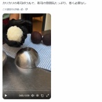 わんこーる速報！