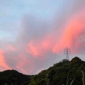 立秋
