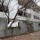 2022/12/16　S林閣