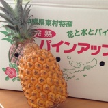 『 沖縄からのお届けもの♡』の画像