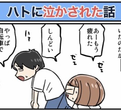 ハトに泣かされた話