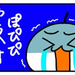 ぽぴぴとモフモフねこちゃんズの暮らし