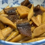 masaの血と骨と肉
