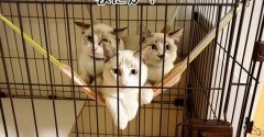 みちみちな理由。