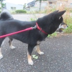 churahamaのブログ