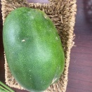 オシテルヤ販売2025年11月5日