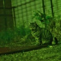 【若さの無駄遣い】１０年付き合った彼氏にプロポーズしましたが、返事がもらえません。３年前から「結婚は来年ね」と言われています。もう後がないので焦っています。