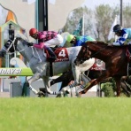 BOSS猿のアナログ肉眼競馬