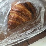 風の動物病院のブログ