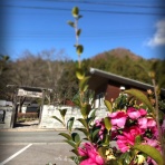 続・小さなcafe物語