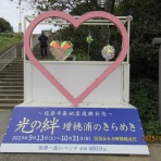 函館発　　ぼうけんの旅