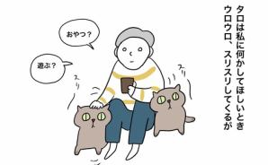 おねだりというより「脅迫」