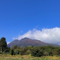 秋の旅2日目〜津軽の秀峰、岩木山とリンゴ🍎‼️青森県→秋田県