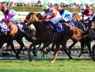 ダノンデサイル（25/12/28・第70回 有馬記念・中山競馬場）