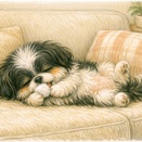 ひとりでもお利口さん