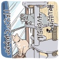 窓辺の猫吸い
