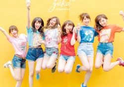 【乃木坂46】「しあわせの保護色」、こういうジャケ写にしてほしかった・・・
