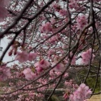 種子島　サーフショップ　オリジン　（サーフィン）