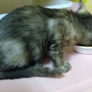 よく食べ、しっかり遊んで、順調です！
