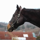 『まだ雪マーク』の画像