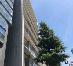 Daiwa渋谷神泉ビルの入居テナント企業