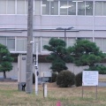 41.8度を記録