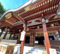 なんでも鑑定団⁉️