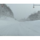 早、一月も過ぎ去っていくか~