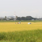 市原市に憲法と地方自治を活かす会