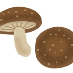 バカ「キノコは植物の一種でしょ？」