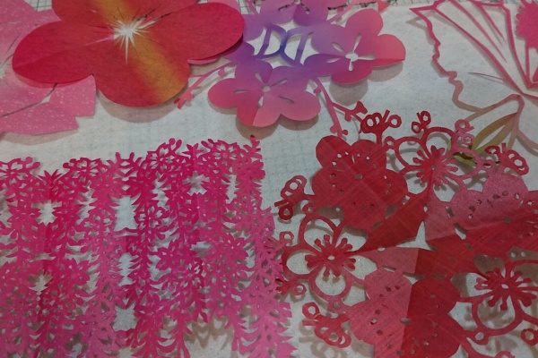 Wshinchan 令和 折り紙