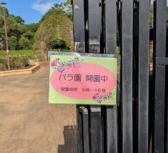 「柏の葉公園」の「秋季バラ園」は11月30日で閉園