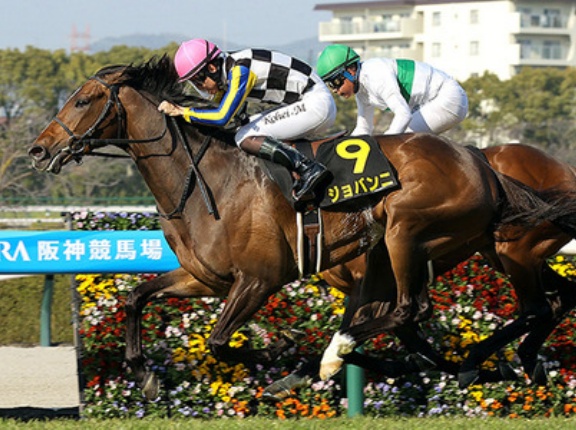 【競馬予想】[4] 第86回菊花賞(GⅠ) /2025