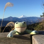 じゅん・ぴぇ～る・ケロピョンチョのボードゲーム紹介