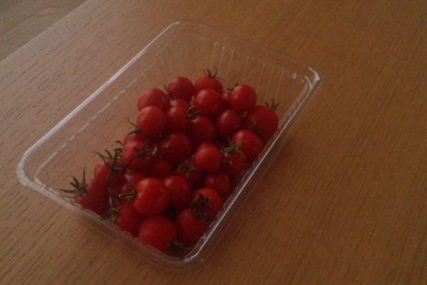 ガーデニング世話いらずな庭をめざして