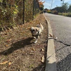 Hide san 色々日記