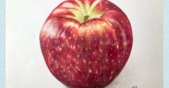 【色鉛筆イラスト】115りんご（秋映）【食べ物イラスト】