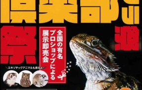 【イベント出展情報！】ハチクラ仙台店即売会＆JRS夏レプ出展！