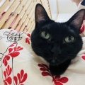M.Yさんのお当番日記『単純さも兼ね備える』。