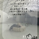 櫻坂46 稲熊ひな 2026年10月グリーティングカード写真撮影場所