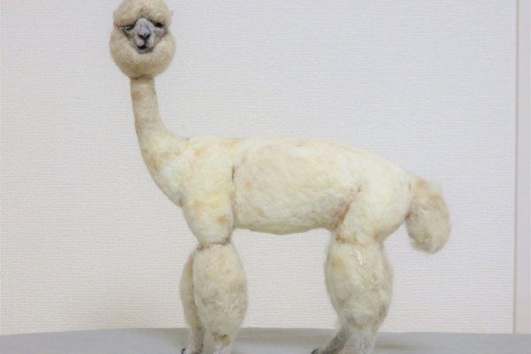 ラクダ(羊毛フェルト)ホワイト ラクダ(羊毛フェルト)ホワイト - メルカリ