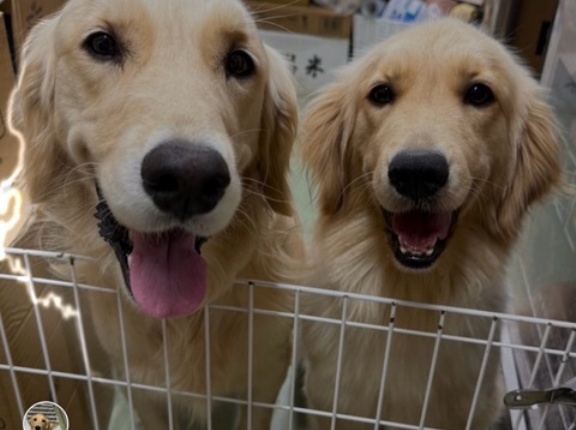 今月も犬猫生活様から沢山のご支援を頂き有り難うございました🙏