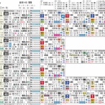 ハイブリッド競馬新聞