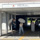 多摩川台公園でアジサイ鑑賞